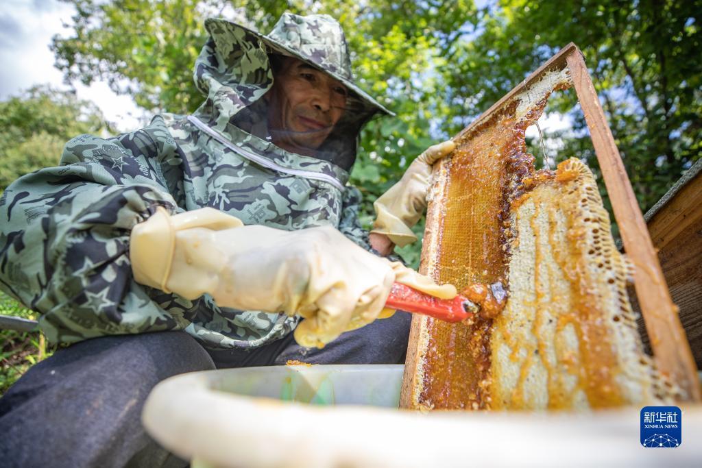 跳槽送斗转星移幸运金
